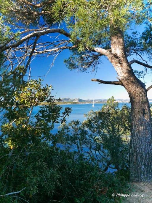 T2: 45M2 :4 Places :Independant Dans Villa Hyères Extérieur photo