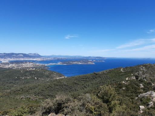 T2: 45M2 :4 Places :Independant Dans Villa Hyères Extérieur photo